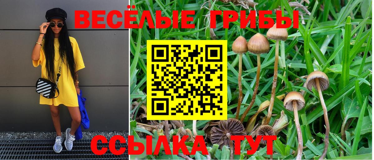 Псилоцибиновые грибы GOLDEN TEACHER  Галлюциногенные грибы прущие грибы  Чистополь  Вход с VPN 